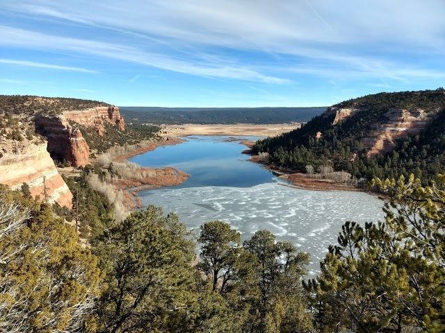 Cibola National Forest