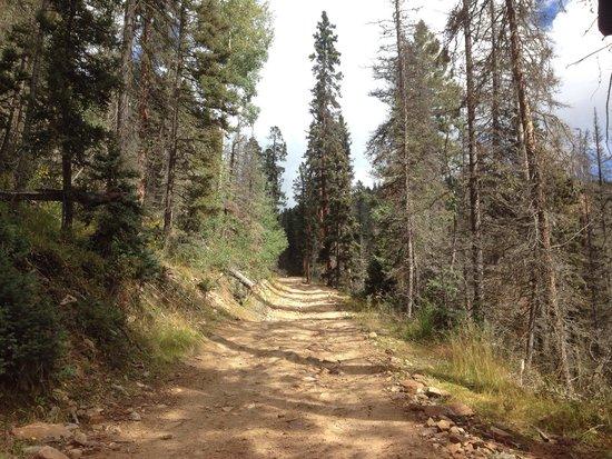 Mallette Park Nature Trail