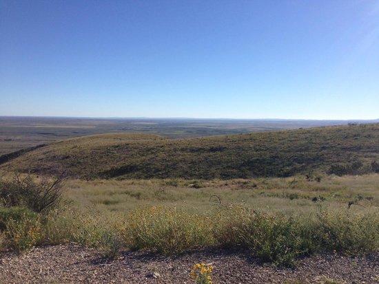 Walnut Canyon Desert Drive