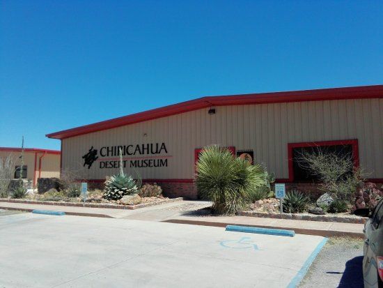 The Chiricahua Desert Museum