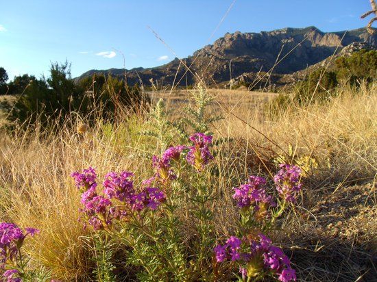 Elena Gallegos Park