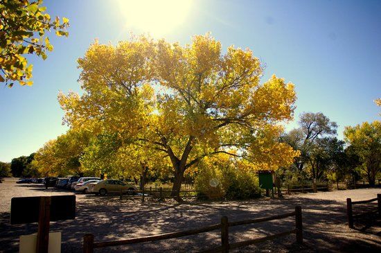 Rio Grande Nature Center State Park